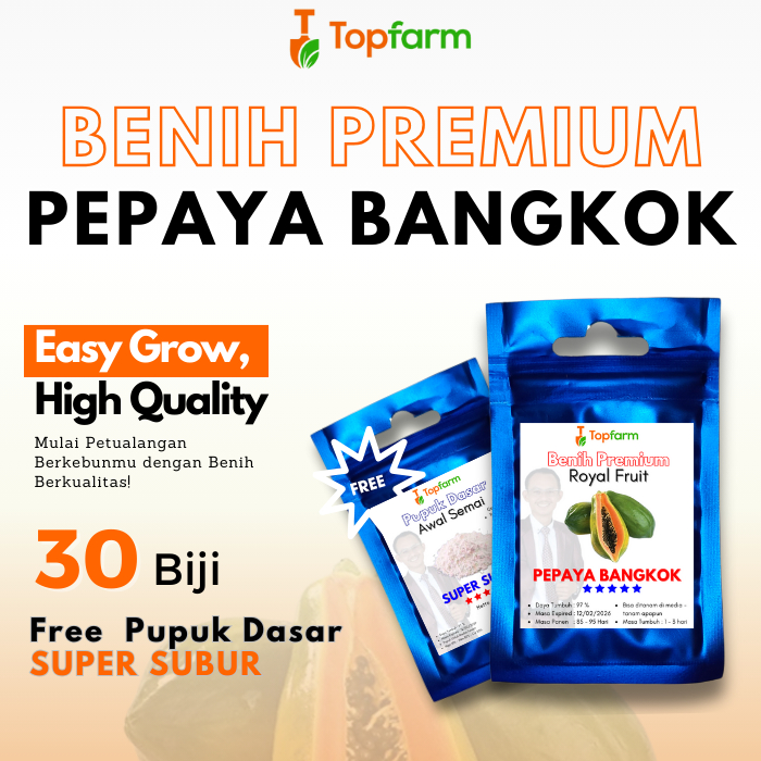Benih Topfarm / Paket Benih Pepaya / Benih Pepaya Bangkok Super / Benih Pepaya Bangkok Ecer / Benih 