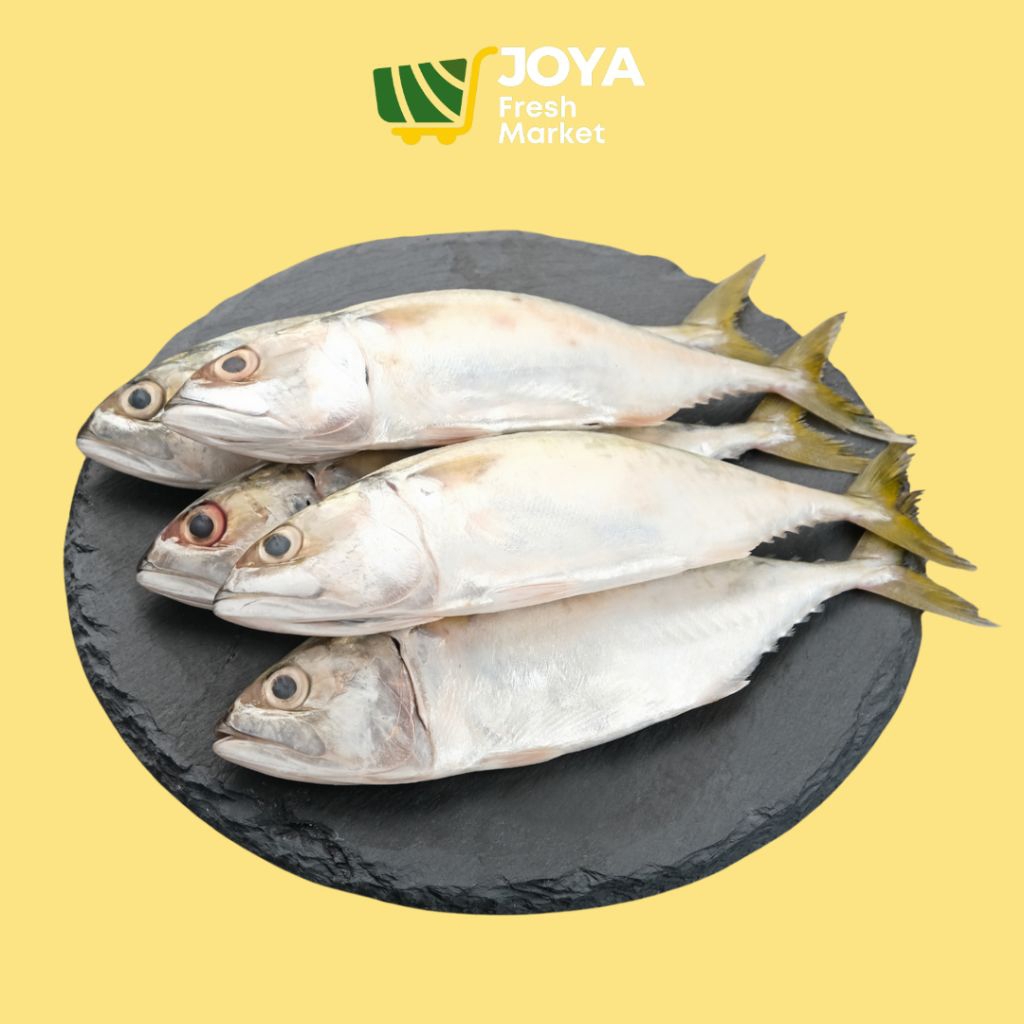 

Joya Fresh - Ikan Gembung Aso Segar/Seafood Segar/Ikan Gembung Aso Kecil