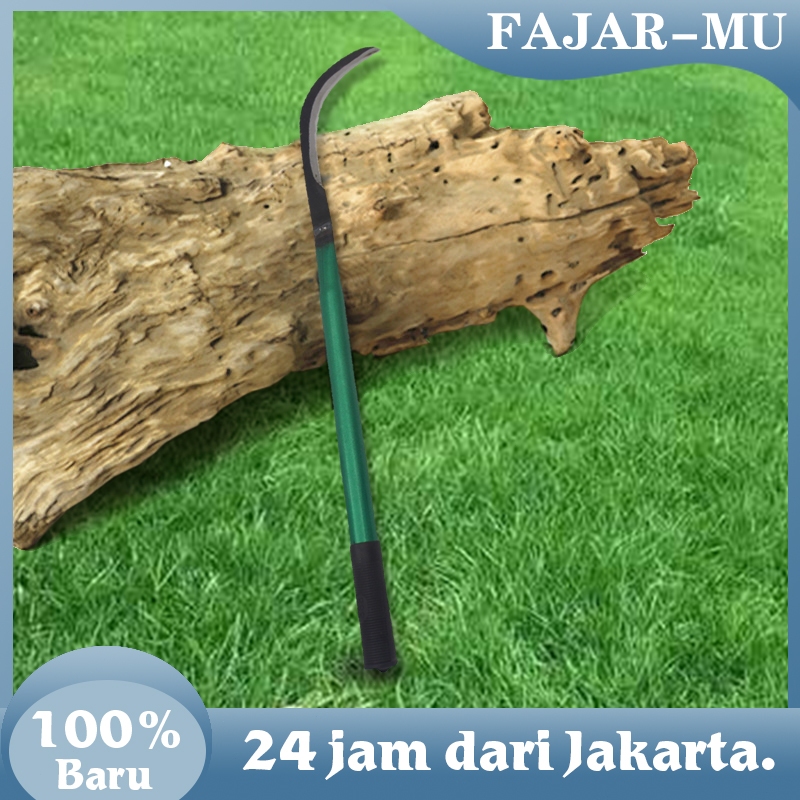 40 Cm Menangani Arit Madura Untuk Rumput / Arit Jawa Asli / Arit Baja Asli Tani