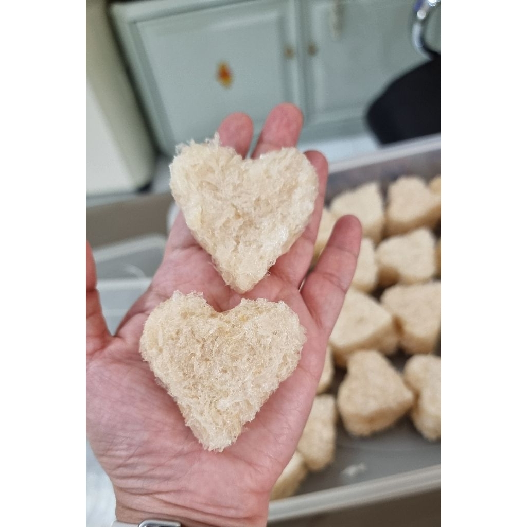 

SarangBurungWaletHancuran