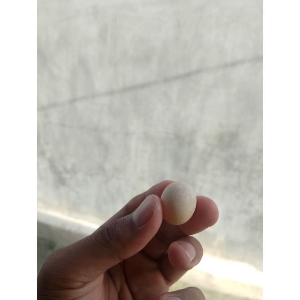 

JGstore17 telur ayam jantan telur ayam kecil telur ayam kampung kecil