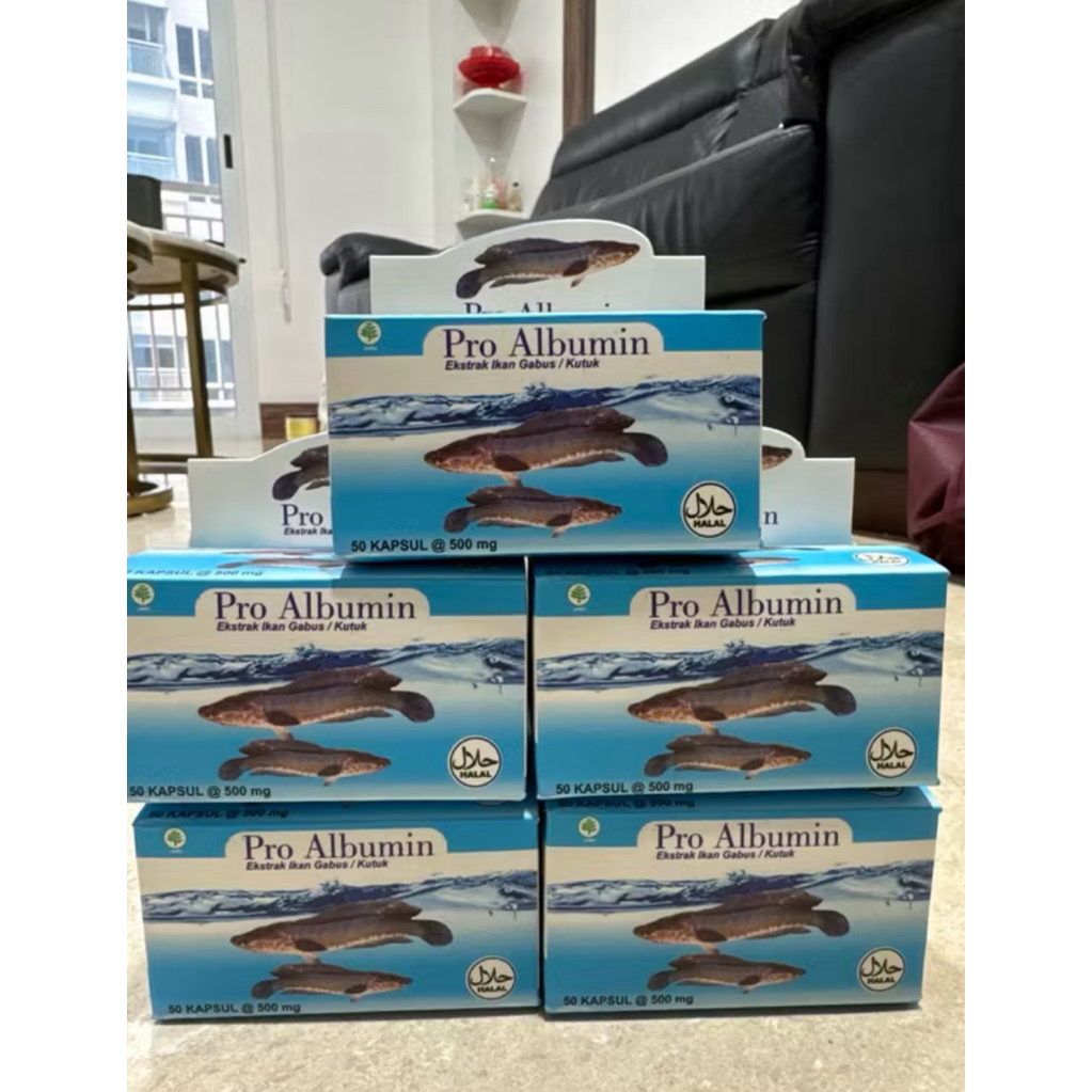 PRO ALBUMIN minyak ikan gabus proalbumin ekstrak gabus albumin