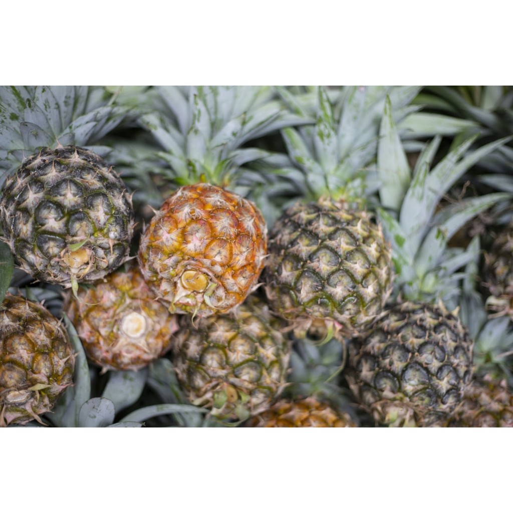 

murah nanas madu PENGIRIM INSTAN PALEMBANG