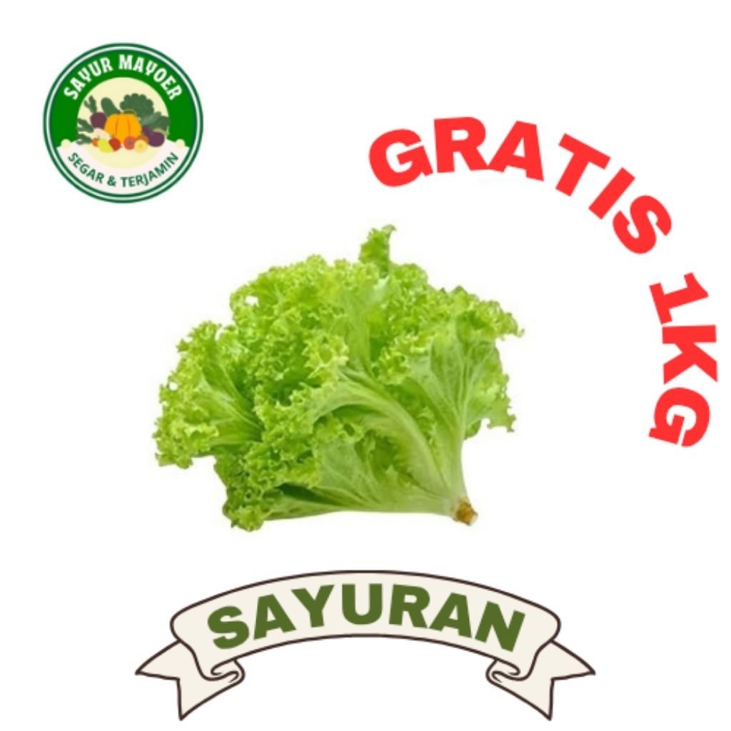 

DAUN SELADA KERITING per 500g