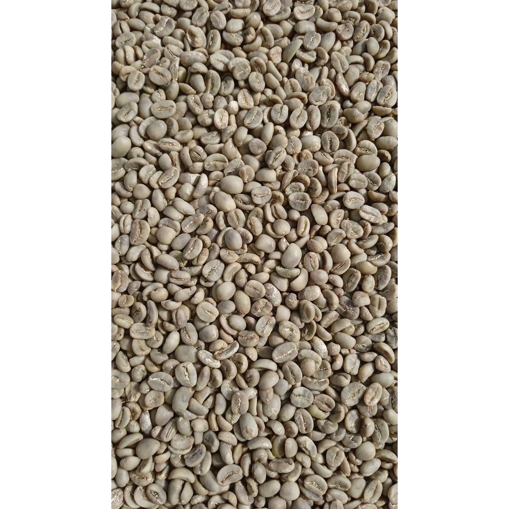 

kopi luwak liar arabika gayo 1kg original quality green bean / biji kopi mentah