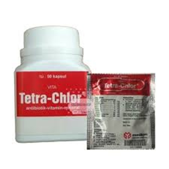 TETRA CHLOR ISI 50 KAPSUL OBAT PENYAKIT AYAM BURUNG DAN IKAN