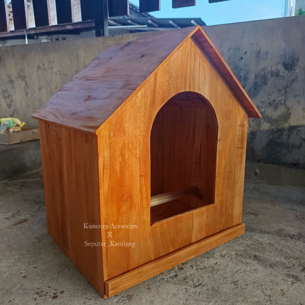 Kandang Burung Hantu Dares Kakaktua Rumah Burung