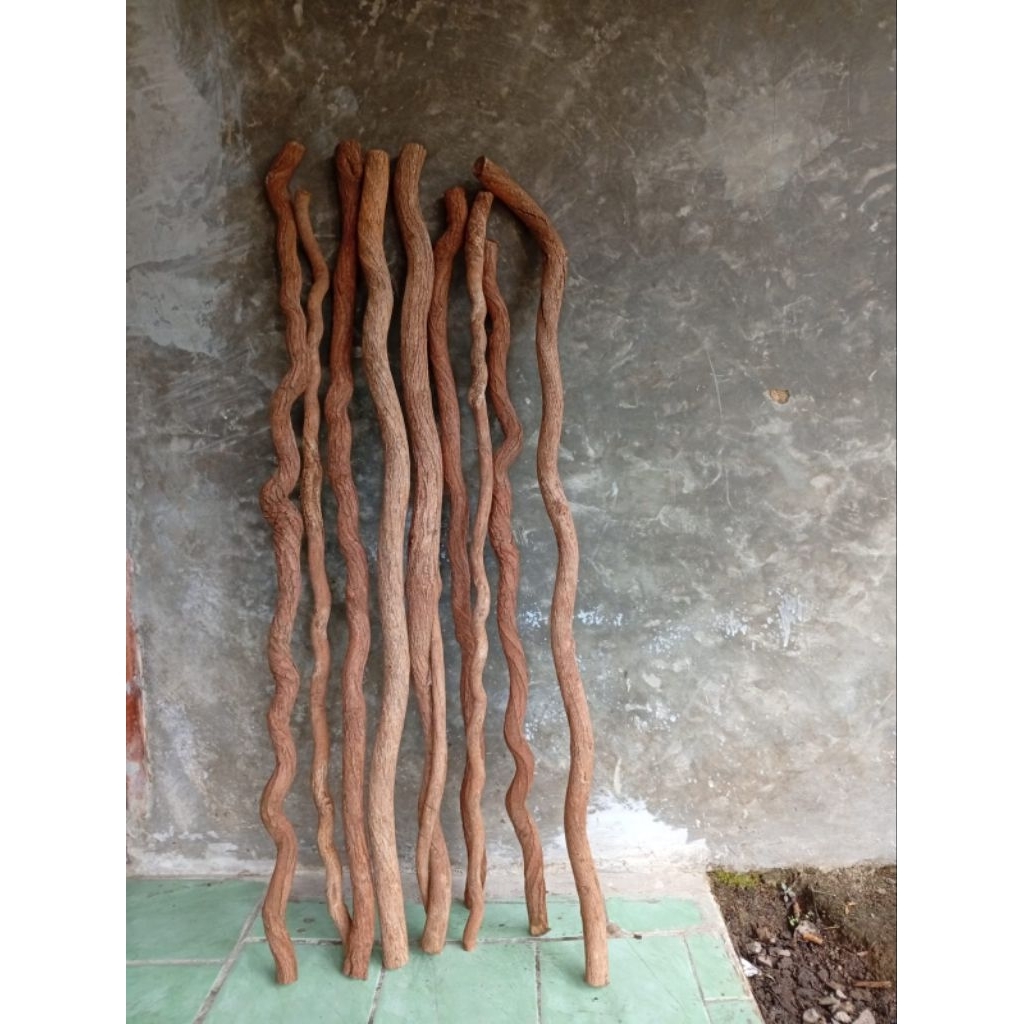 tongkat jalan kayu asli unik