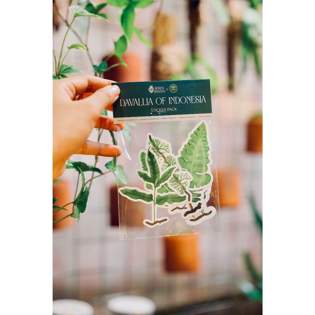 

Sticker Davallia of Indonesia | Pakis Stiker | Fern | Bejana Bhuana Merchandise