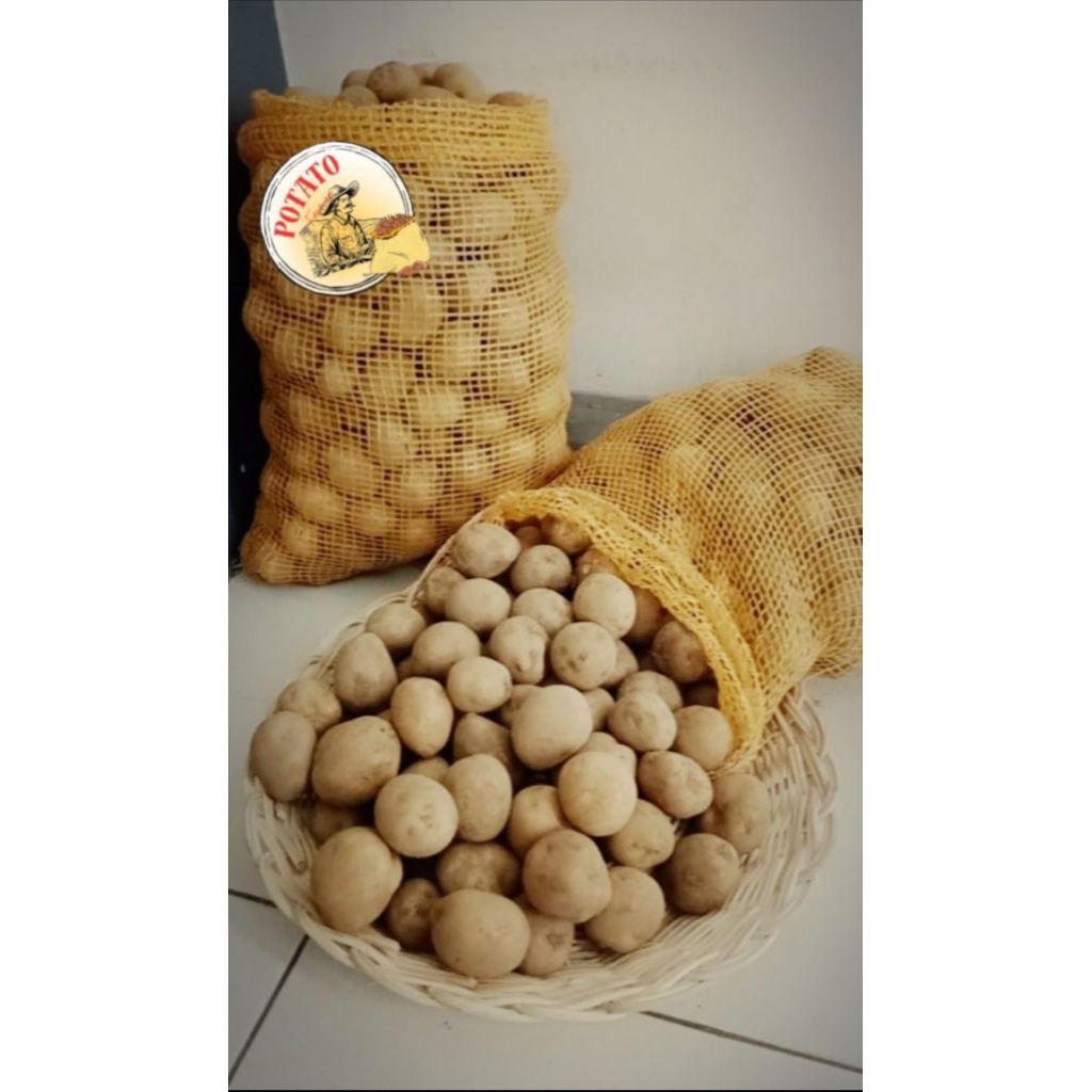 

kentang segar 500 gr, 1 kg