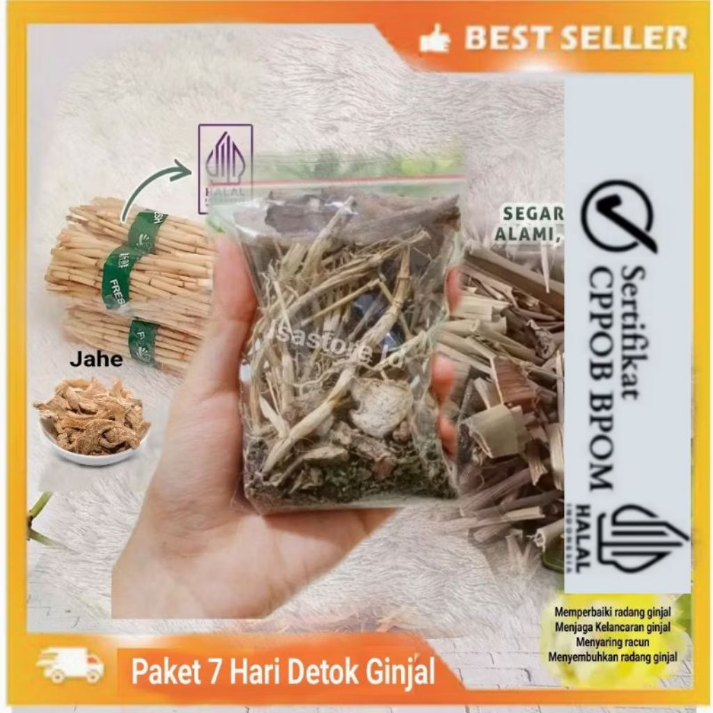 

Paket Detok Ginjal 7 Hari Jahe Akar Alang sereh Solusi Permasalahan Ginjal