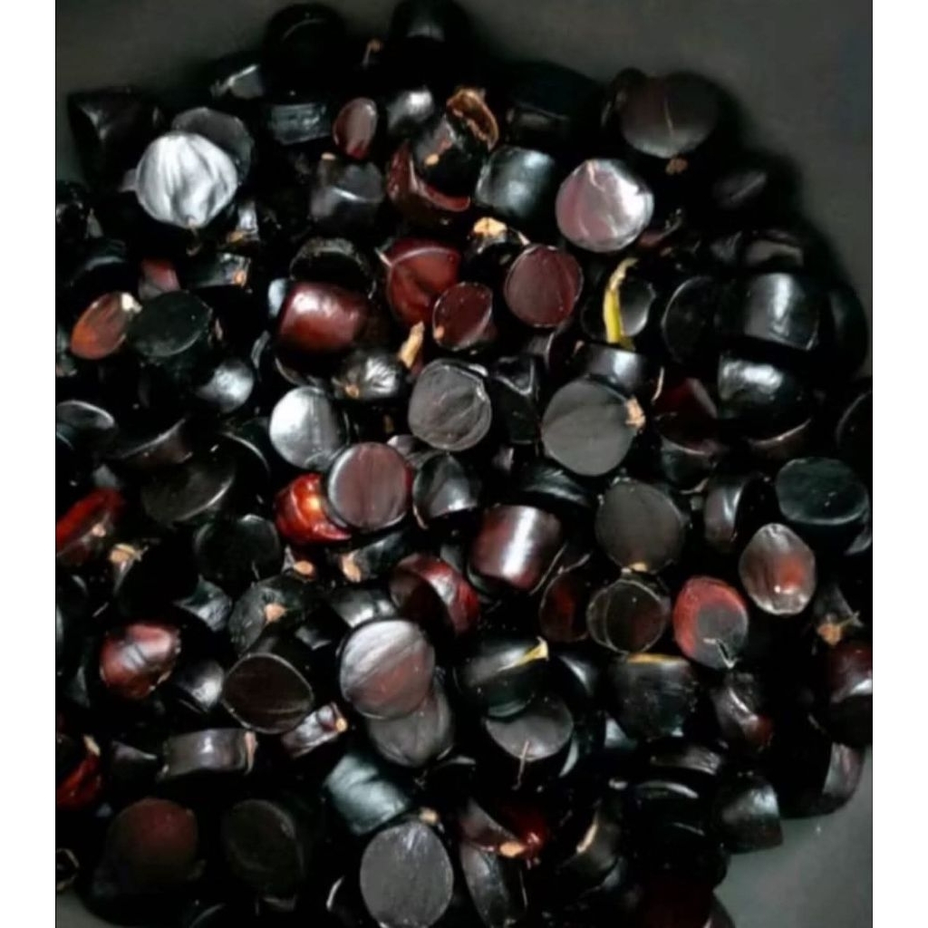 

JALING / JOLANG-JALING / BUAH KABAU