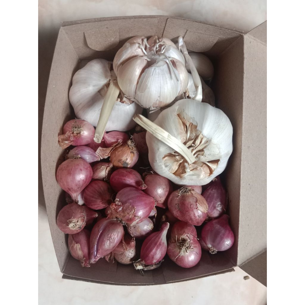 

Paket Bamer+Baput 500gr (250g baput + 250g bamer tanggung)