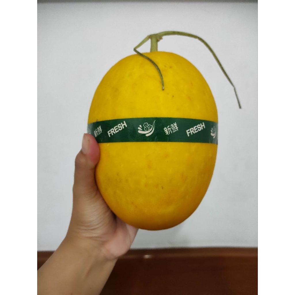 

Melon Hidroponik / Melon Kinanti / Melon Adinda