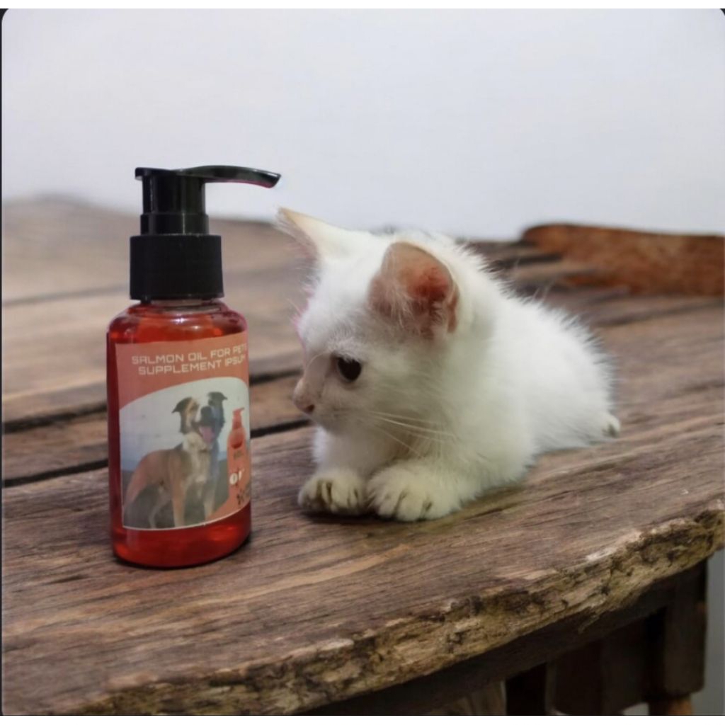 

evlyn minyak salmon oil 100%murni/kualitas terbaik