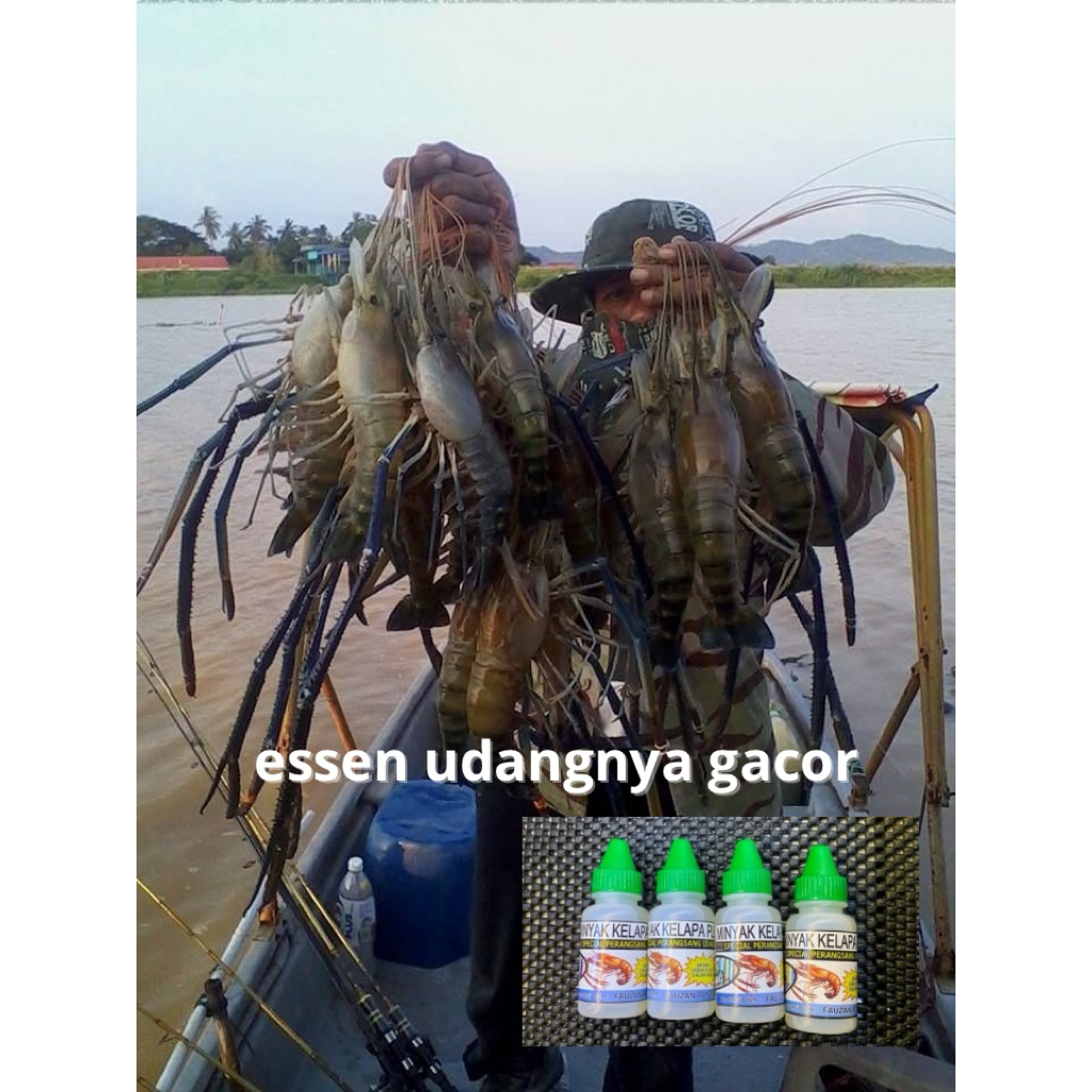 Perangsang udang/Minyak kelapa udang/Essen udang galah super gacorr isi 30ml by:fauzanpancing