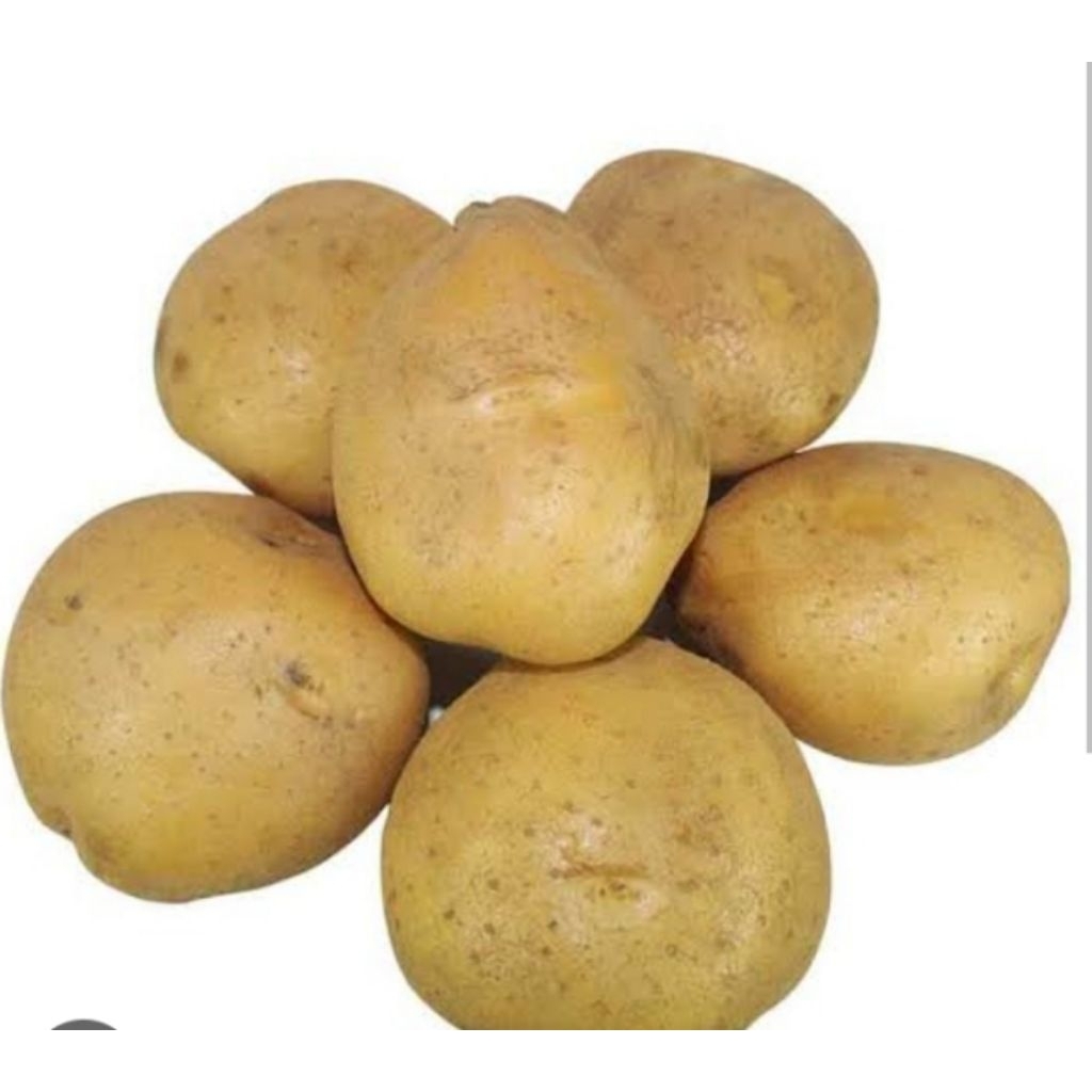 

Kentang Mentega 1 kg 24000