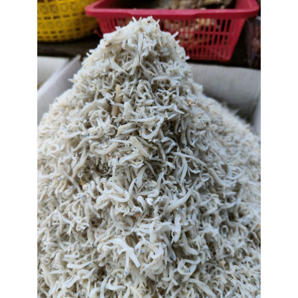 

Ikan Teri Medan / Ikan Teri Nasi / Ikan Teri Mie / Teri Tawar / Ikan Teri mi / Ikan Teri Tauge / Teri Toge / Teri Putih / Teri Kecil / Ikan Teri murah