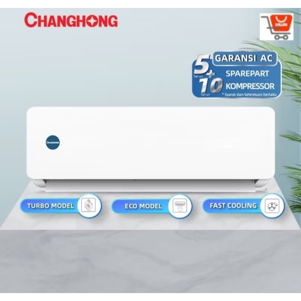 AC 1/2 PK CHANGHONG CS-C05NVB4 GOLD FIN