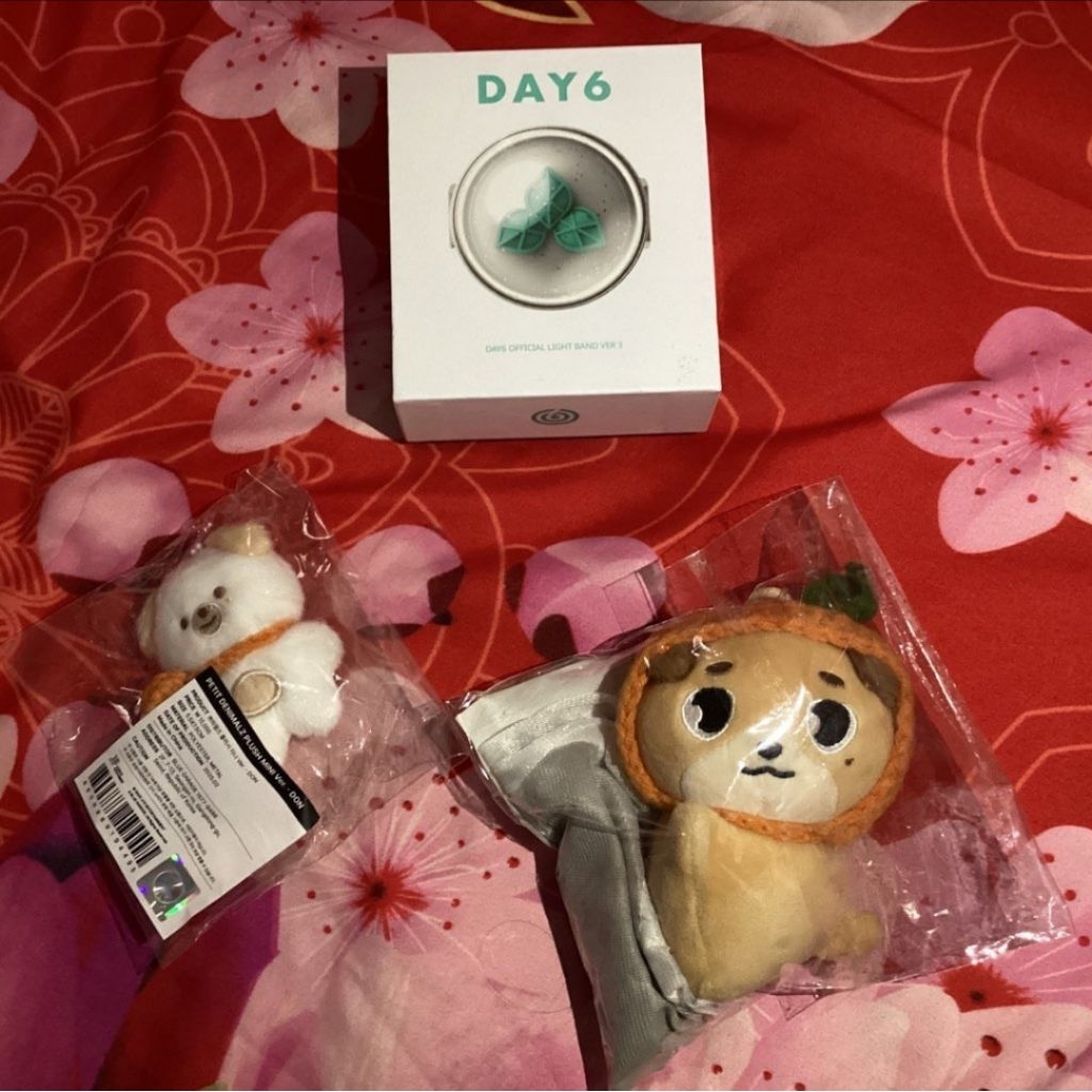 [UNSEALED] DAY6 LIGHTBAND VER 3 OFFICIAL