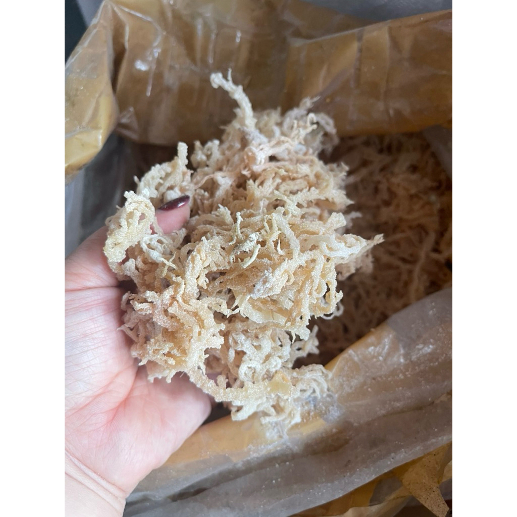 

rumput laut segar 100gr