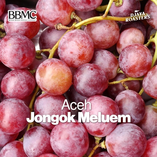

Aceh Jongok Meluem Natural Anaerob 120H Single Origin Filter Coffee