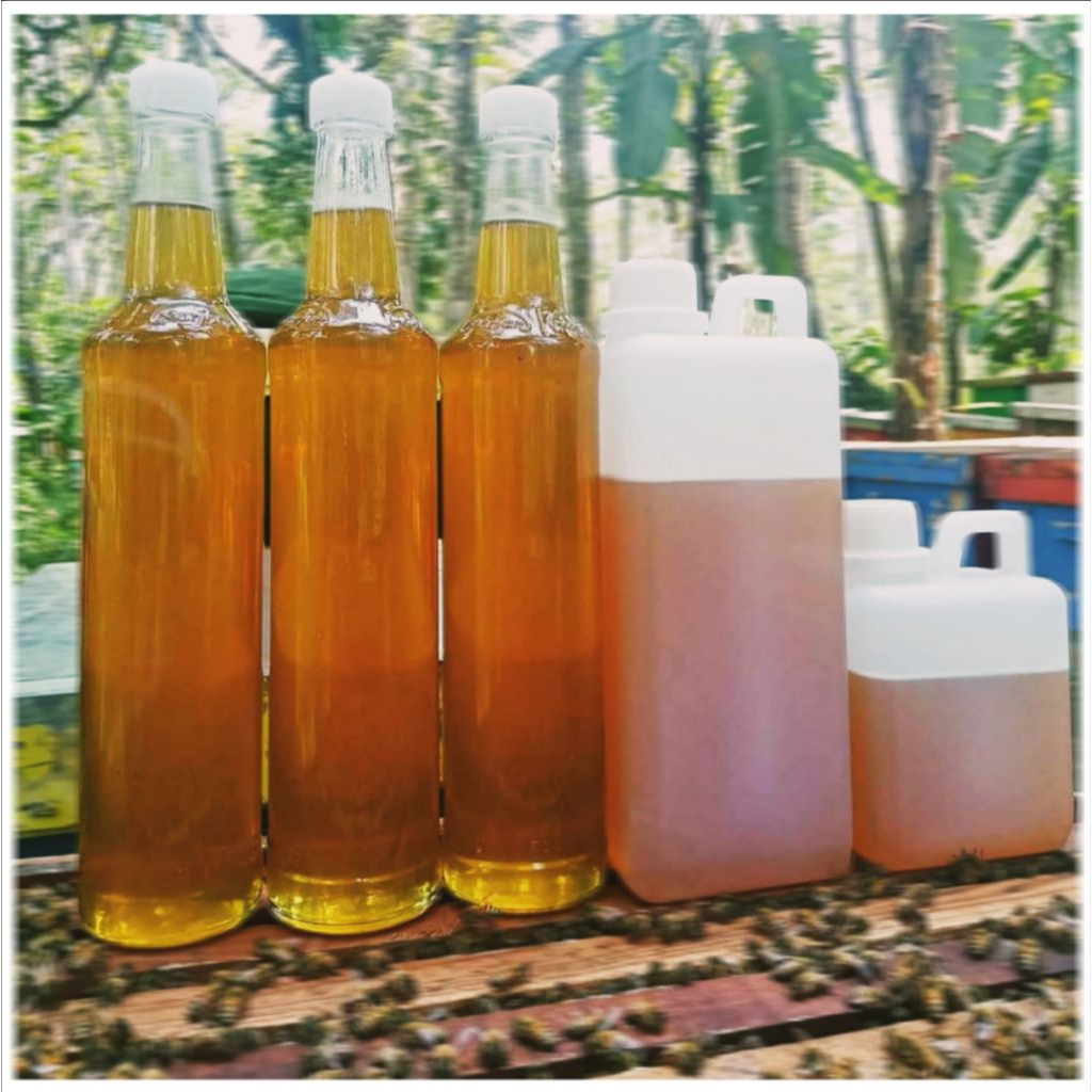 

Madu Asli - Madu Murni 100 % berat 1 kg | Madu Multiflora Super Murni Tanpa campuran