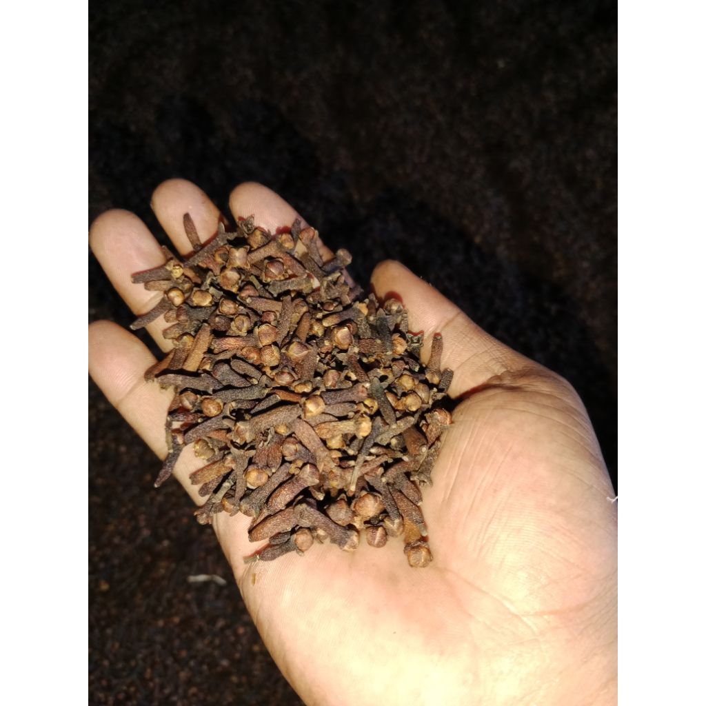 

cengkeh kering 100gram