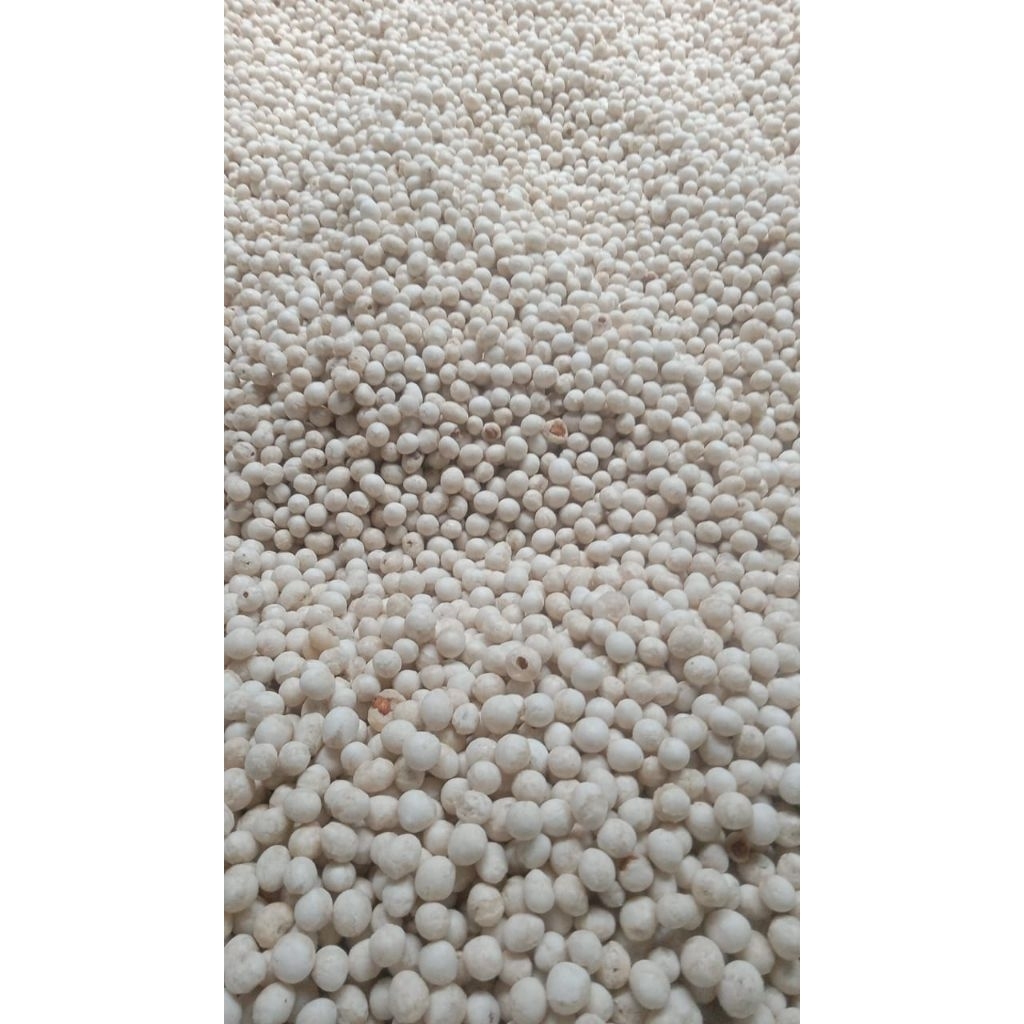 

Sukro isi Kacang Tanah 1000 - 4000 gram