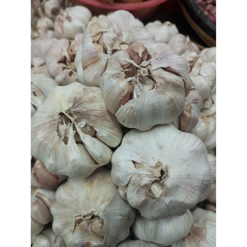 

Bawang Putih kering