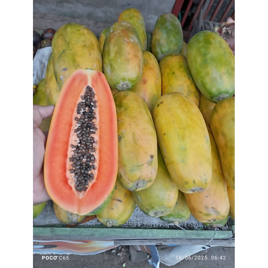 

Pepaya Kalifornia 1 kg - Super Manis, Daging Tebal dan Lembut