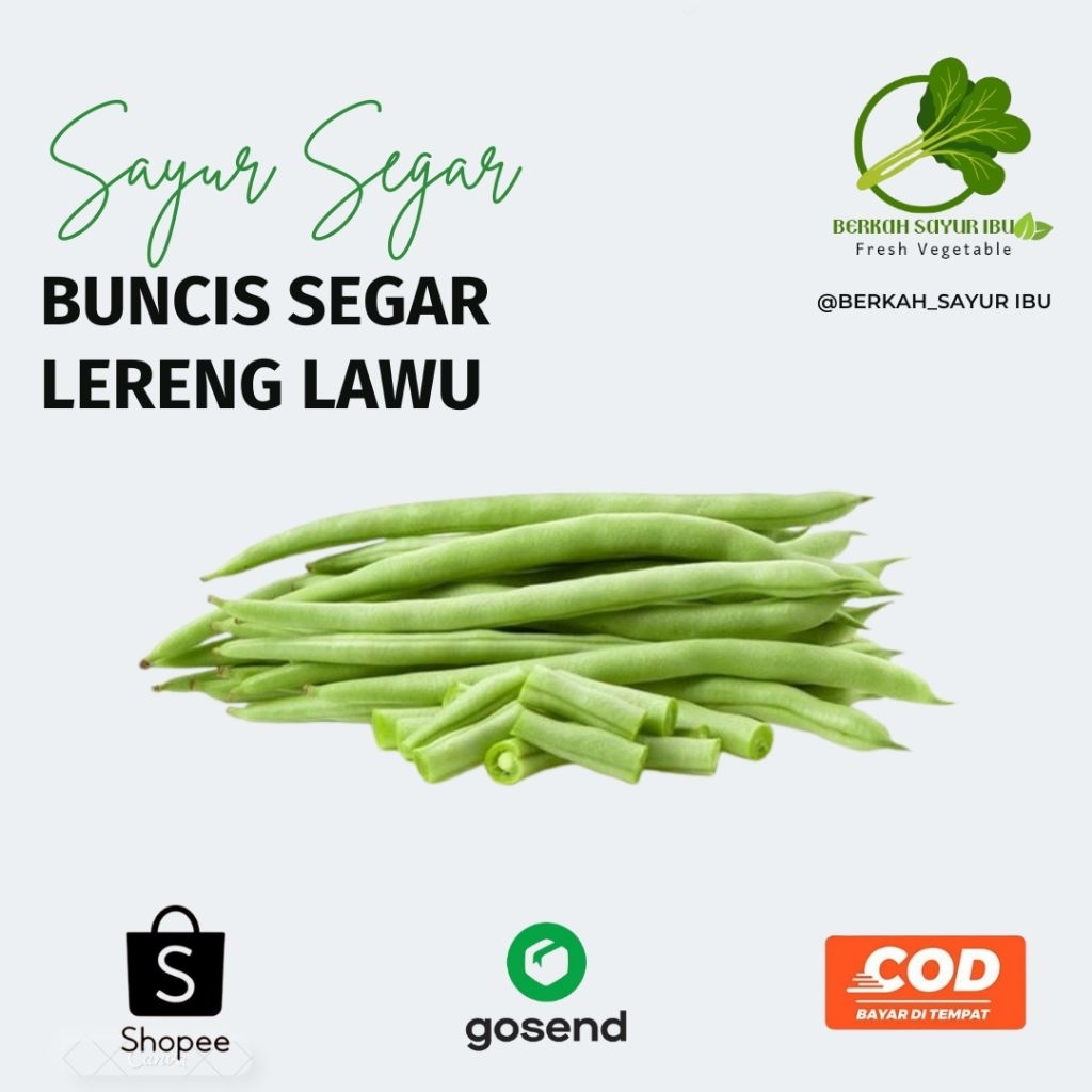 

BERKAH_SAYURIBU- Buncis Segar Lereng Lawu