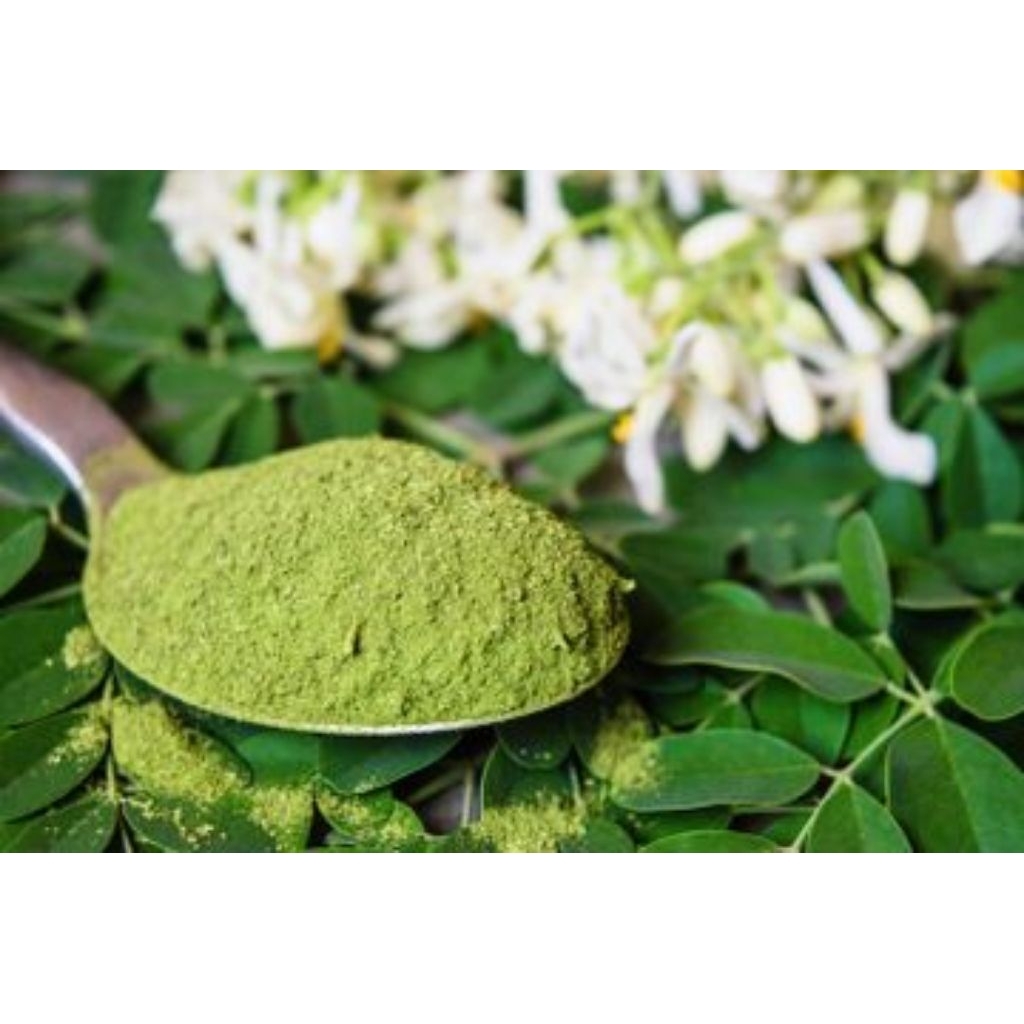 

BUBUK DAUN KELOR MURNI 100% ORIGINAL