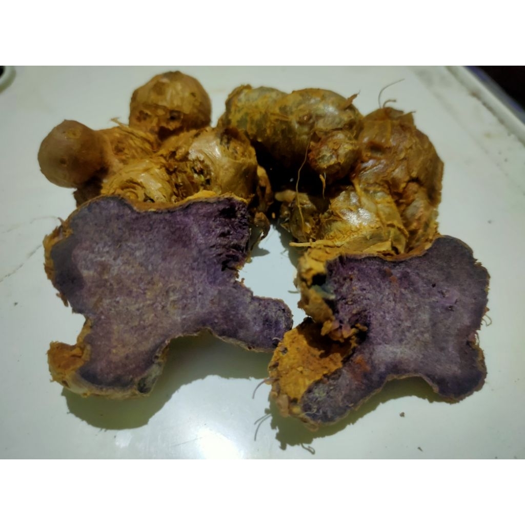 

Kunyit hitam termurah 50 ribuan