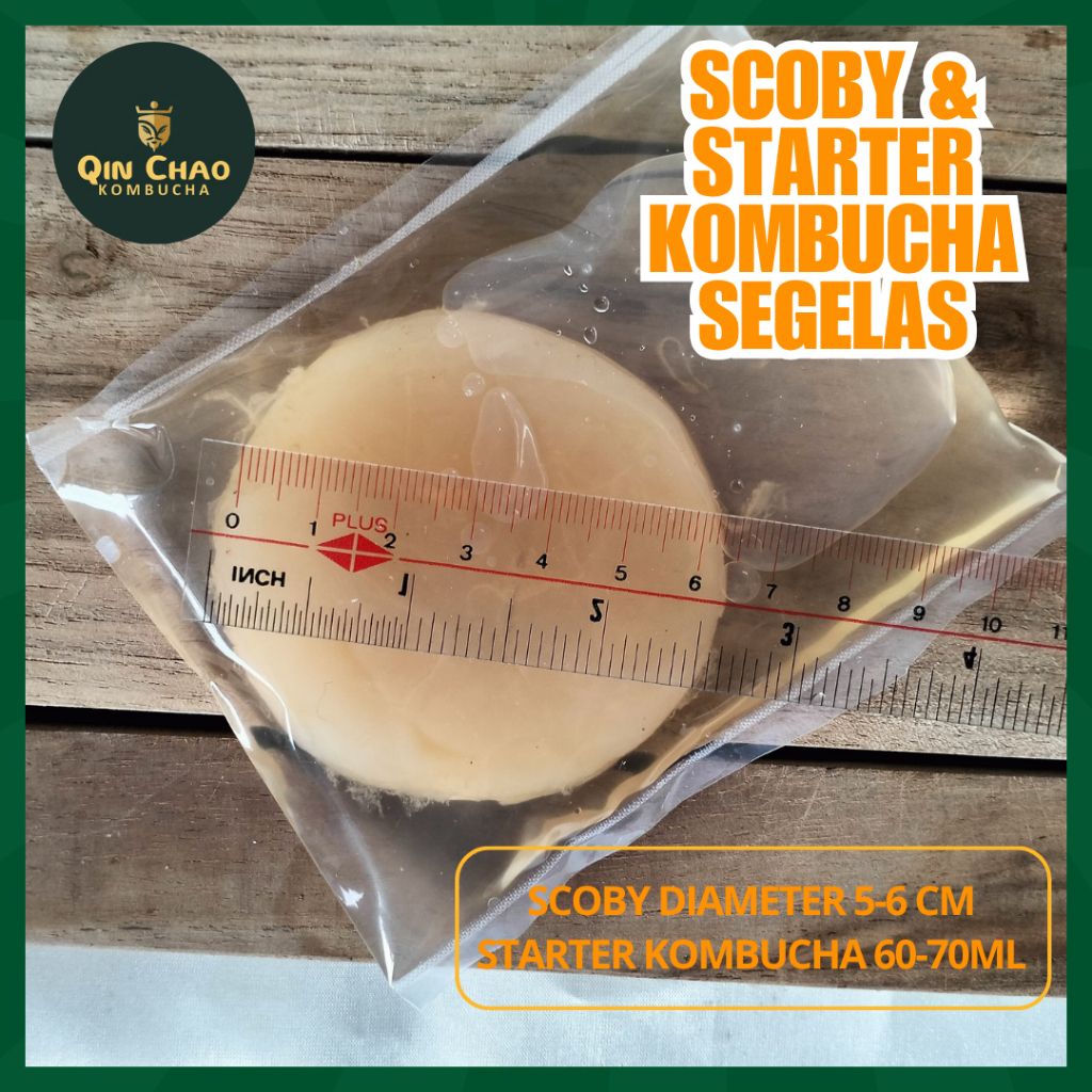 

Starter Kombucha - SCOBY untuk Membuat Kombucha di Rumah Cukup Segelas
