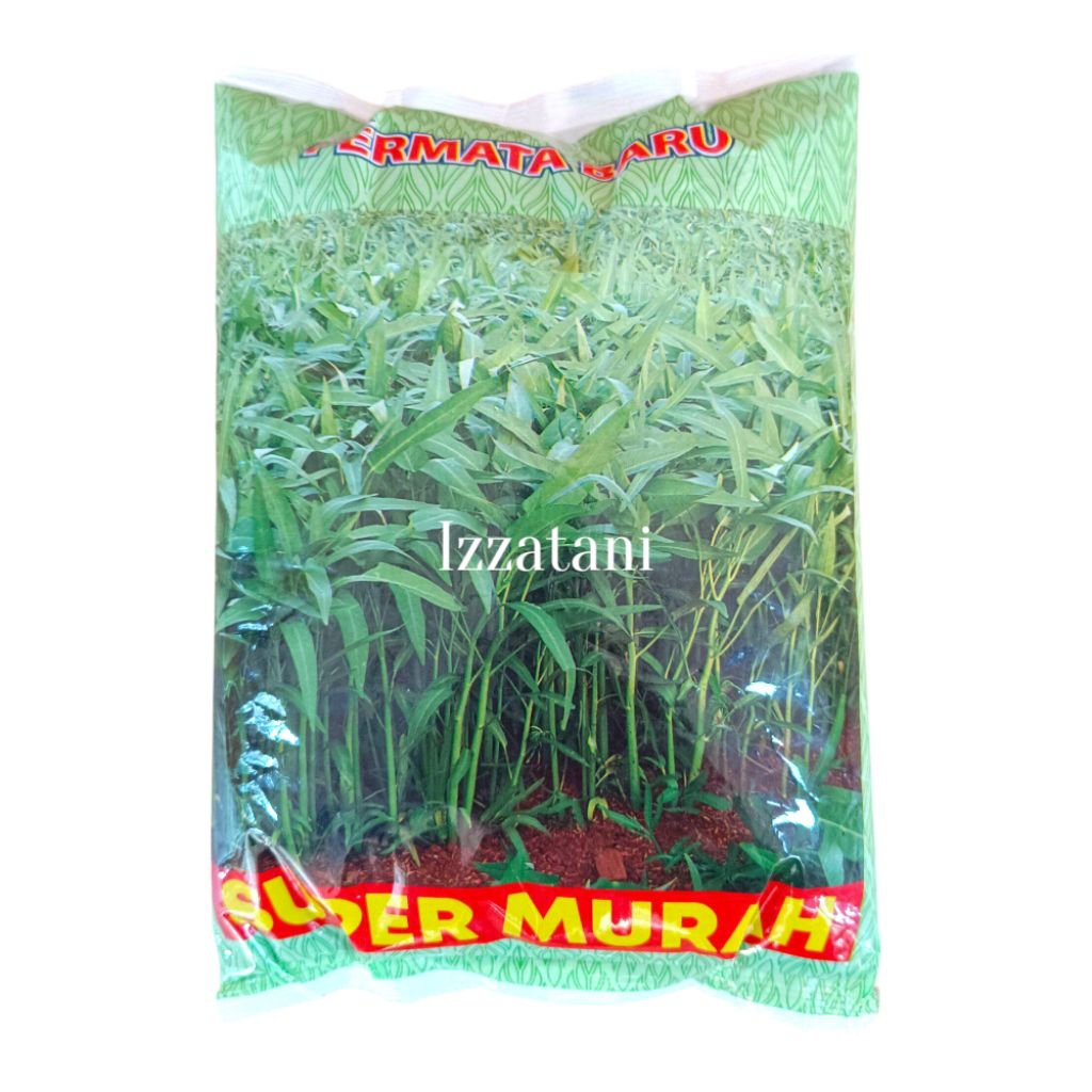 Benih Kangkung Super Murah 1KG Benih Kangkung Bibit Kangkung