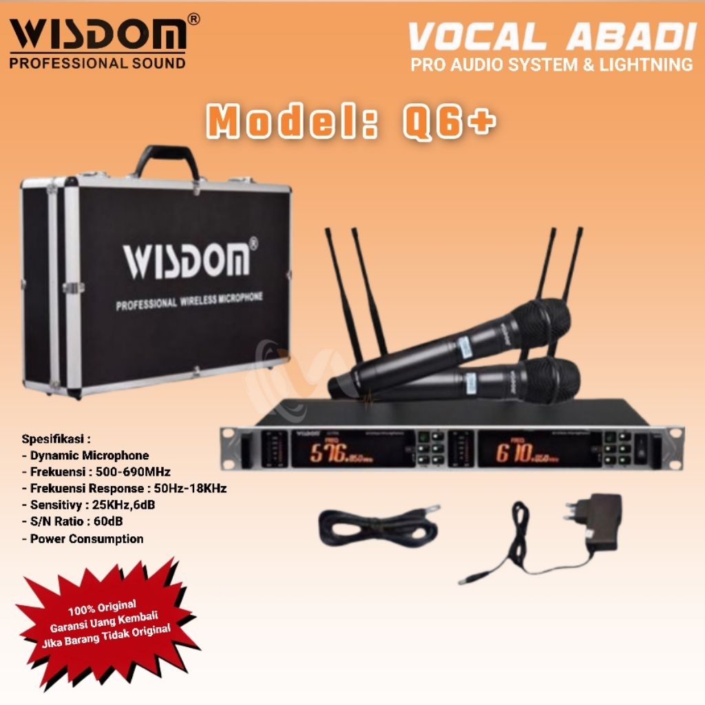 MIC WIRELESS WISDOM Q6+