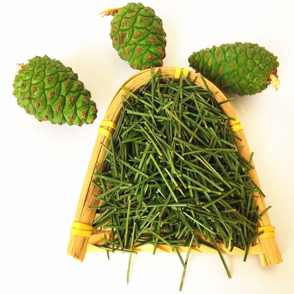 

Daun Pinus bubuk kemasan 100 gram