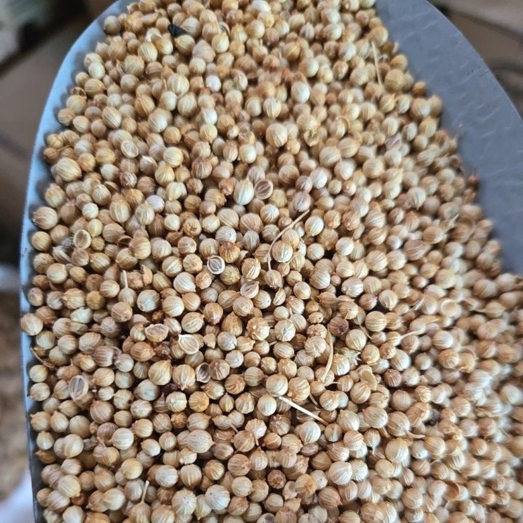 

ketumbar harga ecer an per 1 kg