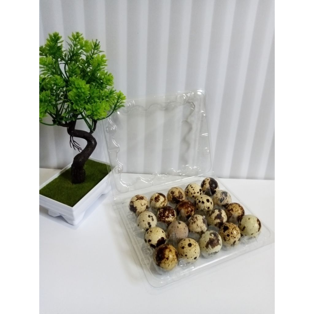 

Telur puyuh konsumsi fresh isi 20