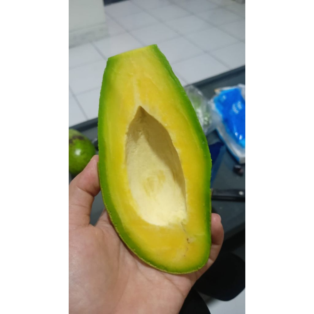 

Alpukat Siger Premium 1 Kg