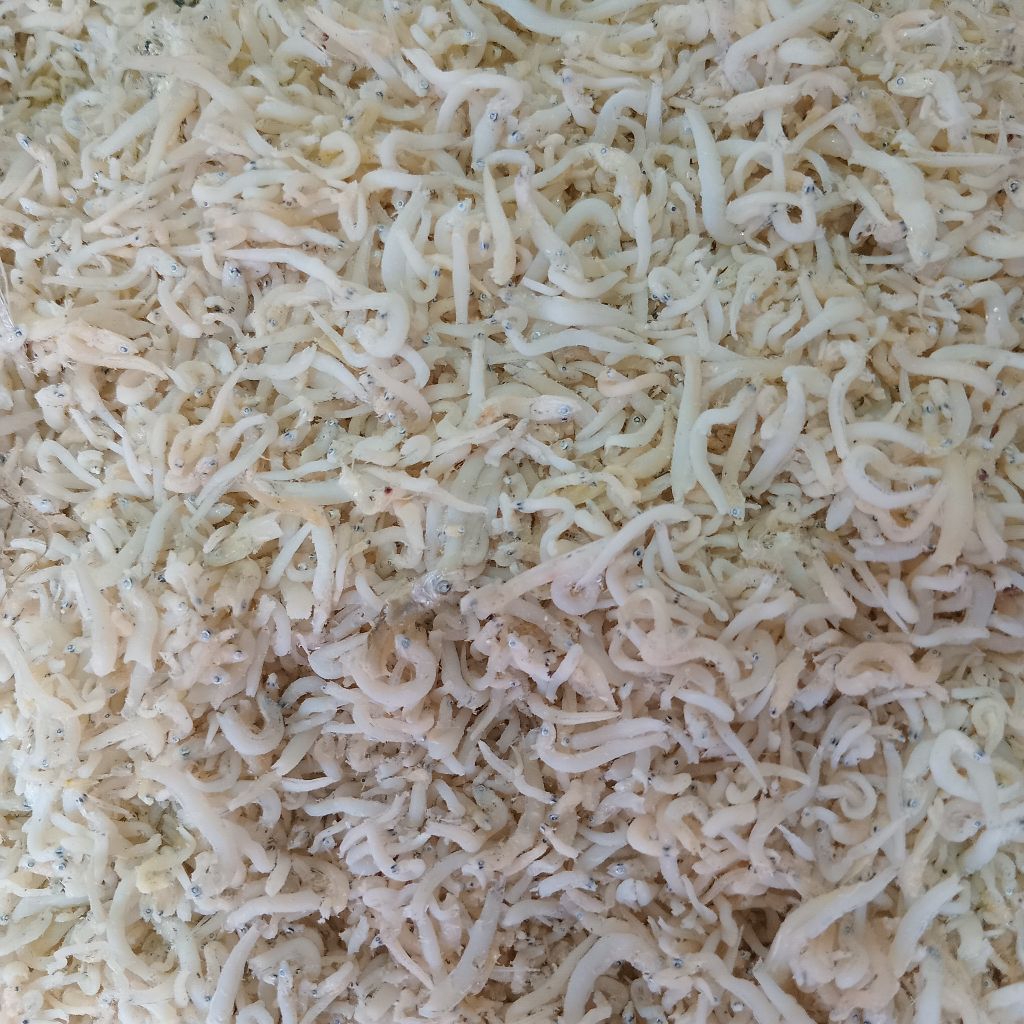 

IKAN ASIN TERI NASI 100gram