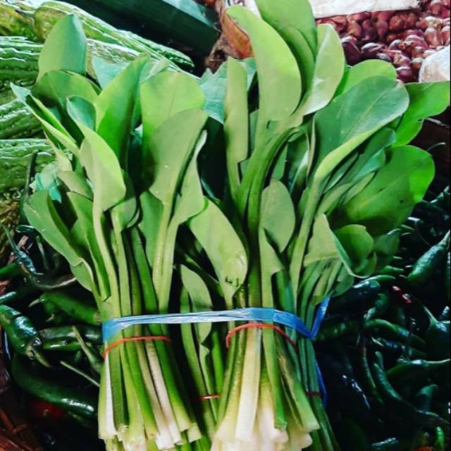 

Kembang & daun Genjer /ikat