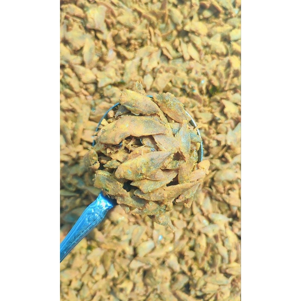 

Tapis ikan asin crispy, Asin gurih renyah dengan irisan daun jeruk. 170 gr.