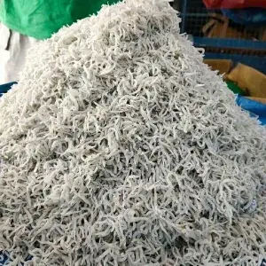 

Teri Medan 100gr