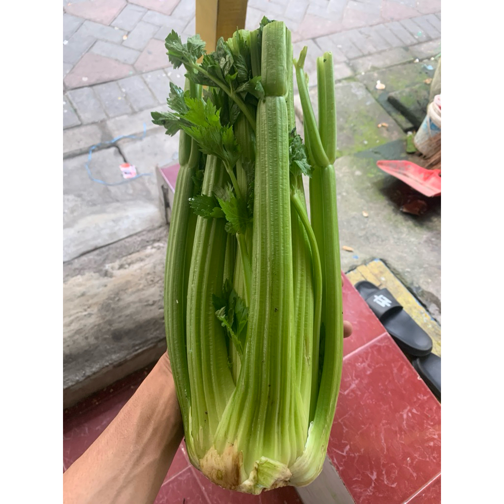 

Celery Stik Import China - 250gram