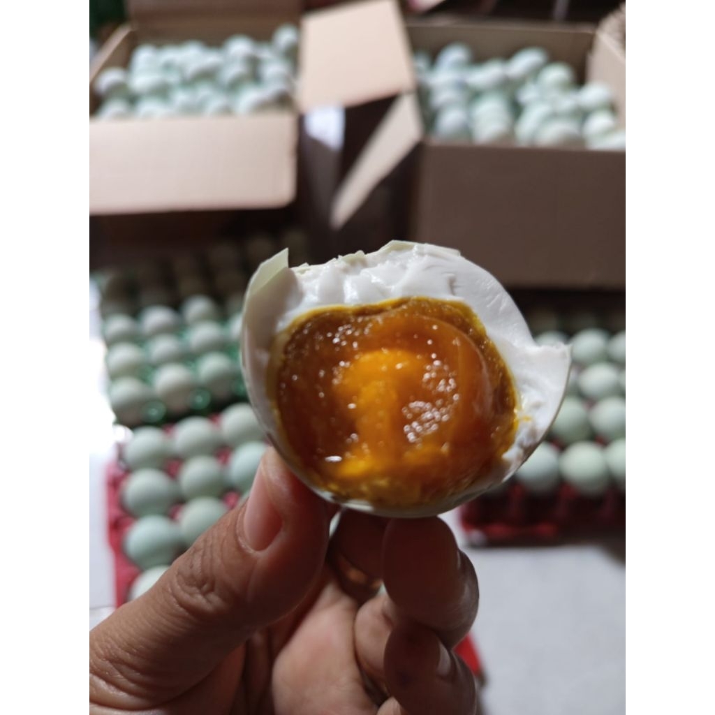 

Telur Asin Masir Rempah & Berminyak Matang Ukuran Sedang Isi 10 Butir