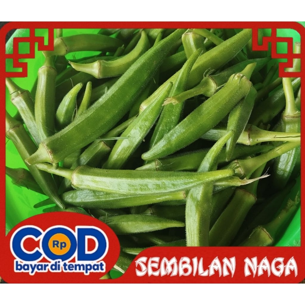 

SAYUR OKRA (Packing Kardus)