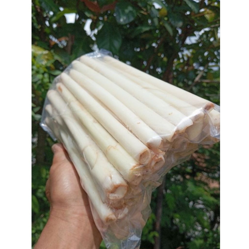 

kecombrang muda segar/1 kg