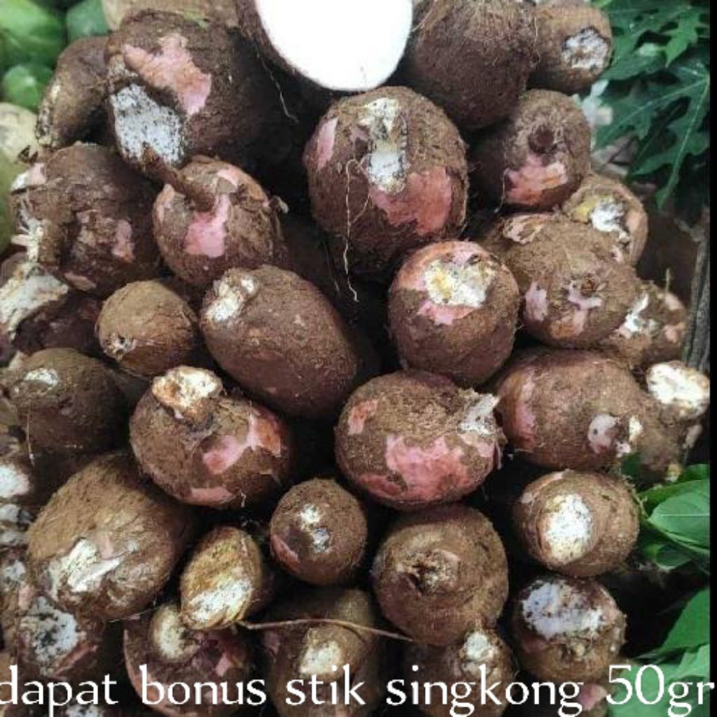 

singkong mentah kulit merah/singkong roti 1kg ada bonusnya